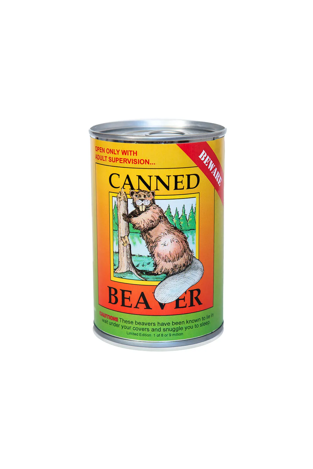 6" Canned Beaver