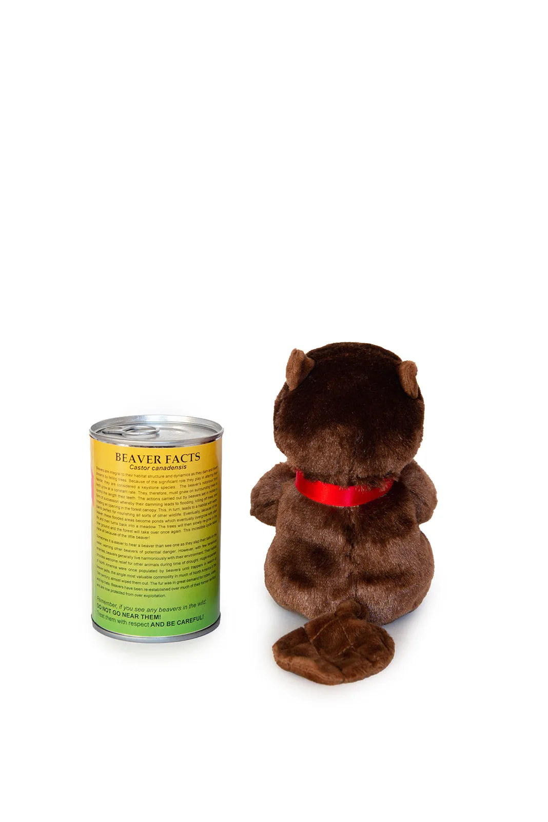 6" Canned Beaver