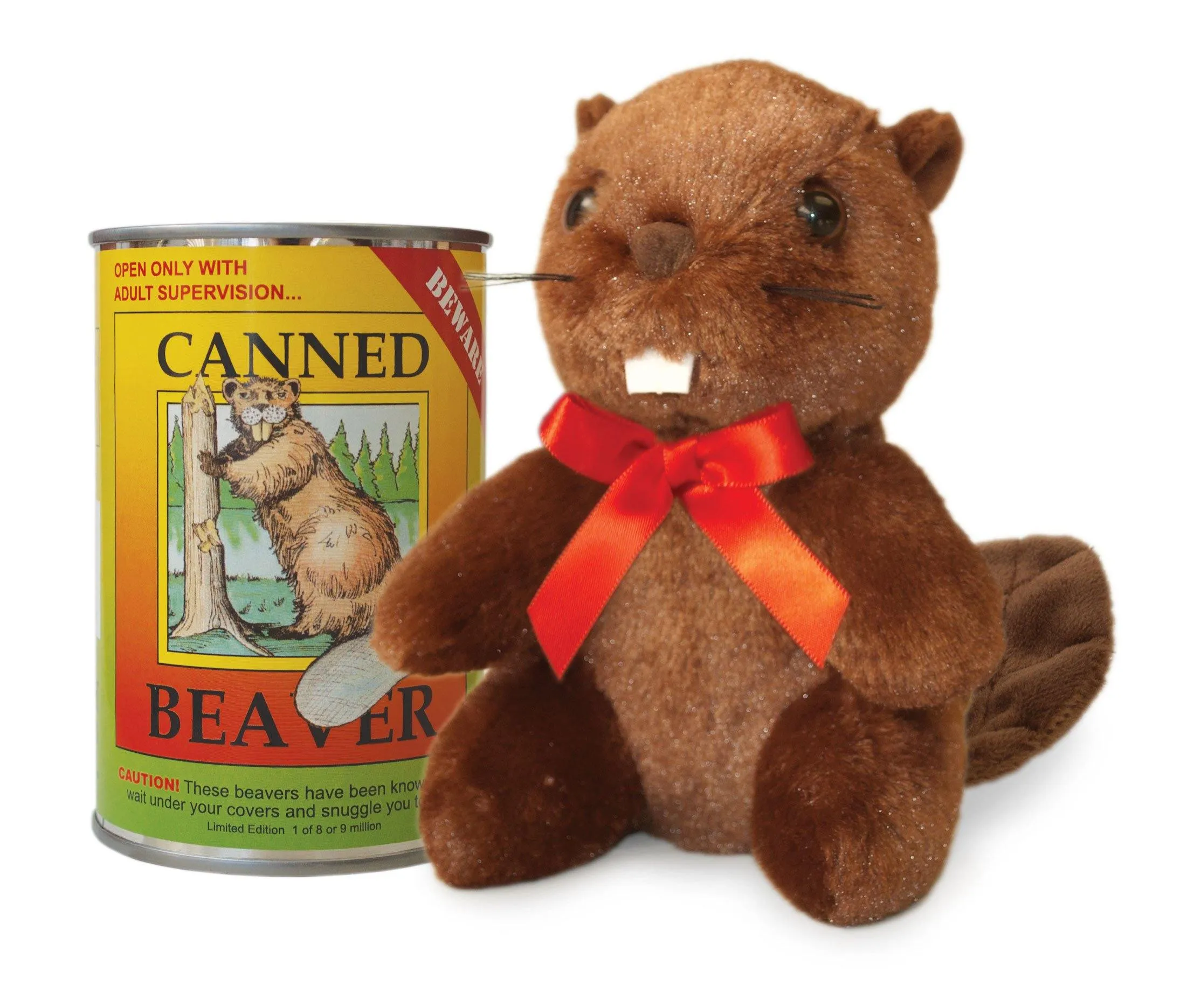 6" Canned Beaver