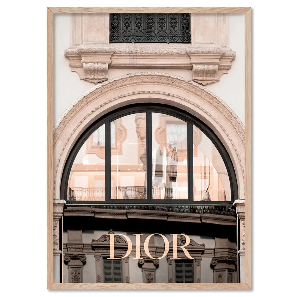 Dior Arch in Blush - Art Print