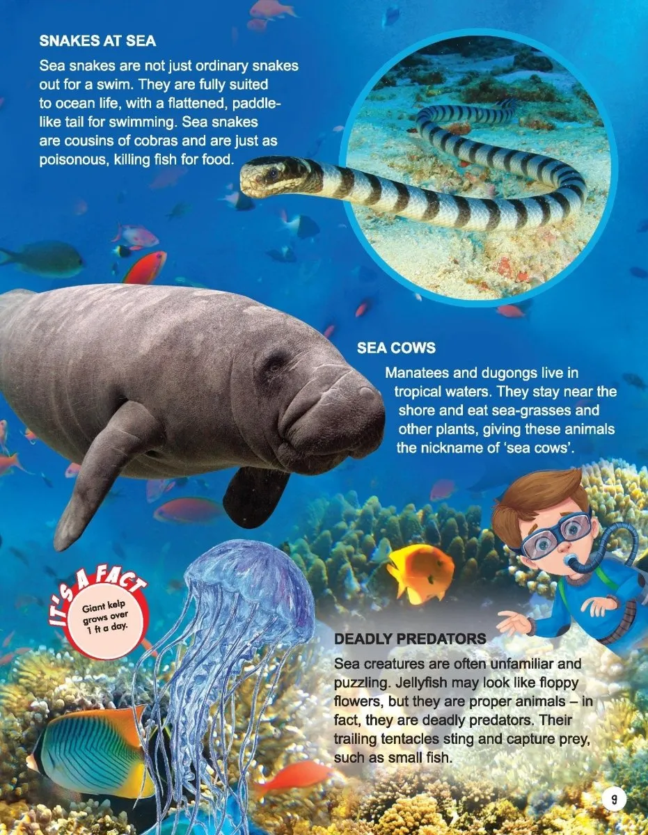 Dreamland Publications Explore Ocean World Encyclopedia