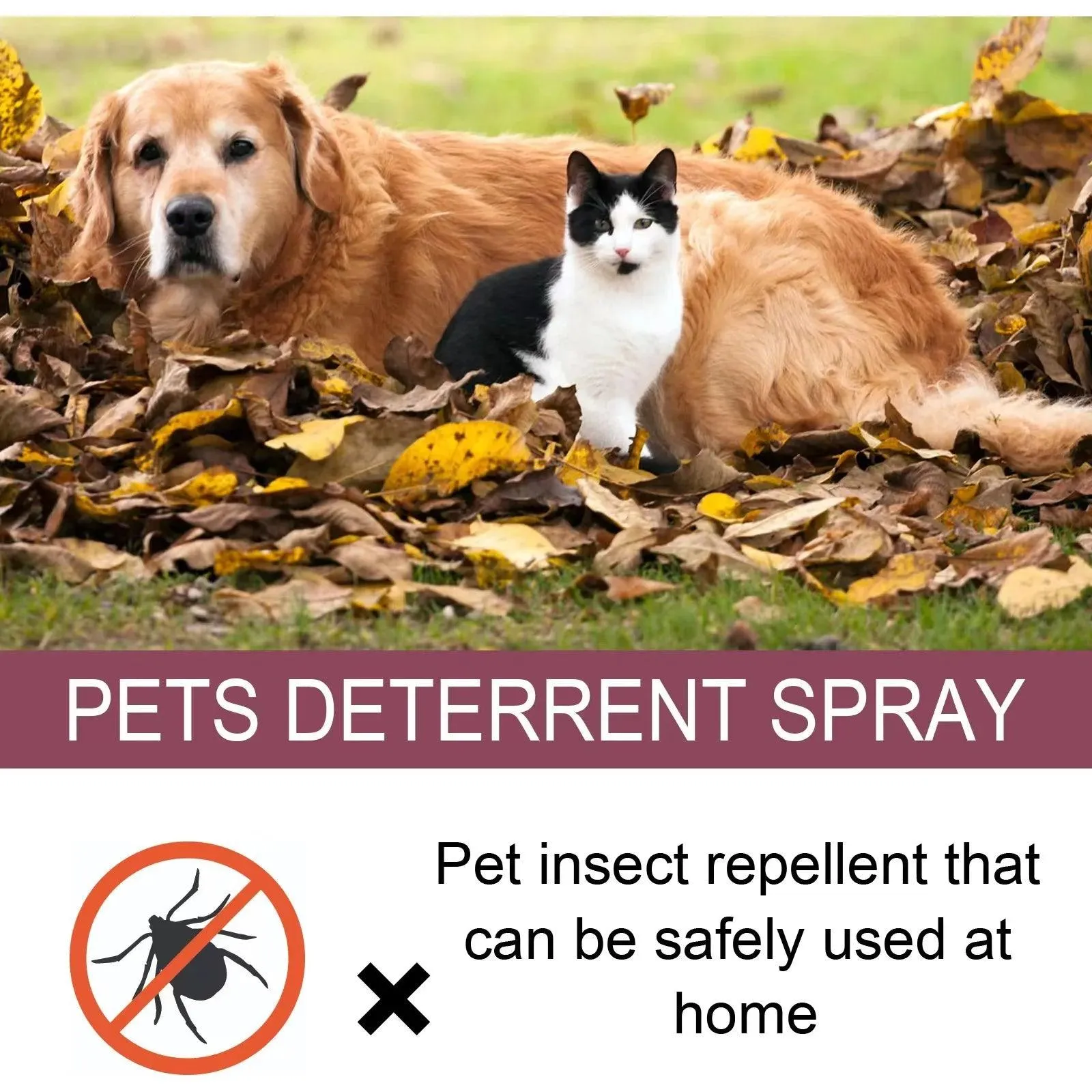 Insect Repellent Spray Pets Tick Control